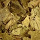 Cassis Bio (feuilles) - Nature et Progrès