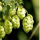 Houblon Bio (cônes) - Nature et Progrès