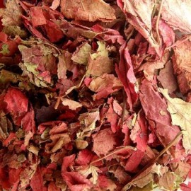 Vigne Rouge Bio (feuilles) - Nature et Progrès