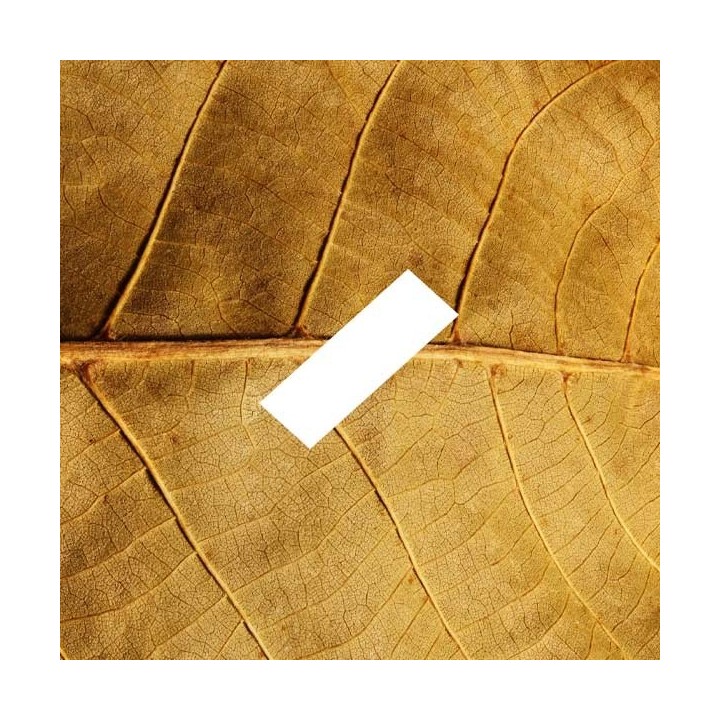 D'Lice - E-Liquide - Tabac USA - 10 mlD'Lice - E-Liquide - Tabac USA - 10 ml - docteur-vaporisateur.com