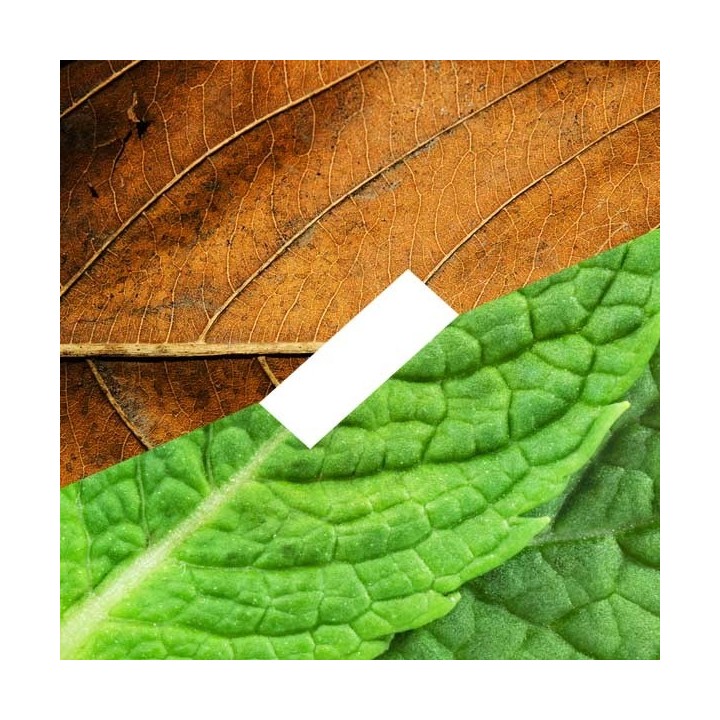 D'Lice - Tabac Menthe - E-Liquide - 10 ml - docteur-vaporisateur.com