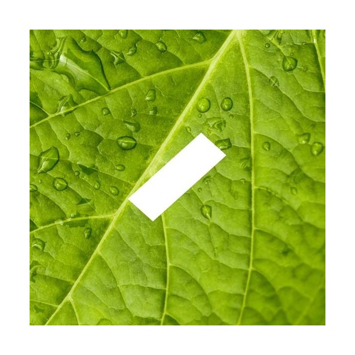 D'Lice - E-Liquide - Menthe Verte - 10 ml - docteur-vaporisateur.com