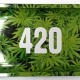 Cannabis CBD Tray - Grand Plateau Vaporisateur 420