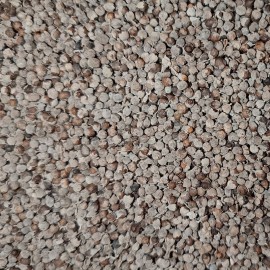 Gattilier Bio (fruit entier) - Nature et Progrès