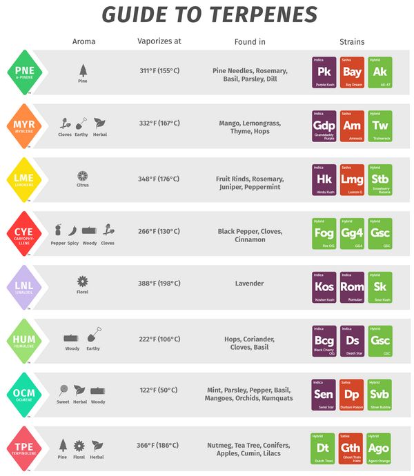 guide des terpenes