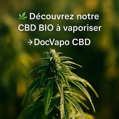 DocVapo CBD — Fleurs bio & permaculture