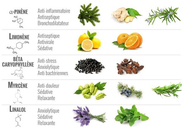 liste des terpenes cannabis