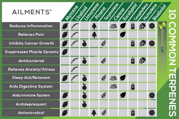 propriete des terpenes