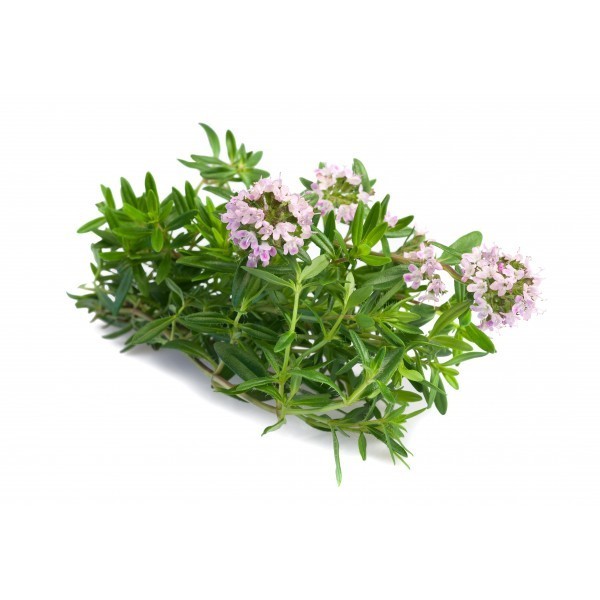 Sarriette Bio Certifiée des cevennes - Docteur-Vaporisateur.com