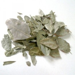 Boldo Bio (feuille) - docteur-vaporisateur.com