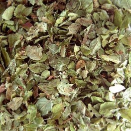 Myrtille Bio (feuille) - docteur-vaporisateur.com
