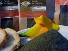 Farine de chanvre (chenevis) - docteur-vaporisateur.com