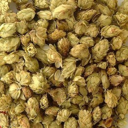 Houblon Bio (cône) - docteur-vaporisateur.com