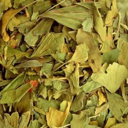 Ginkgo Bio (feuille) - docteur-Vaporisateur.com