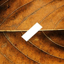D'Lice - E-Liquide - Tabac de virginie - 10 ml - docteur-vaporisateur.com
