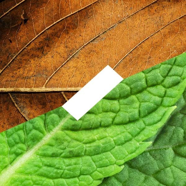 D'Lice - Tabac Menthe - E-Liquide - 10 ml - docteur-vaporisateur.com