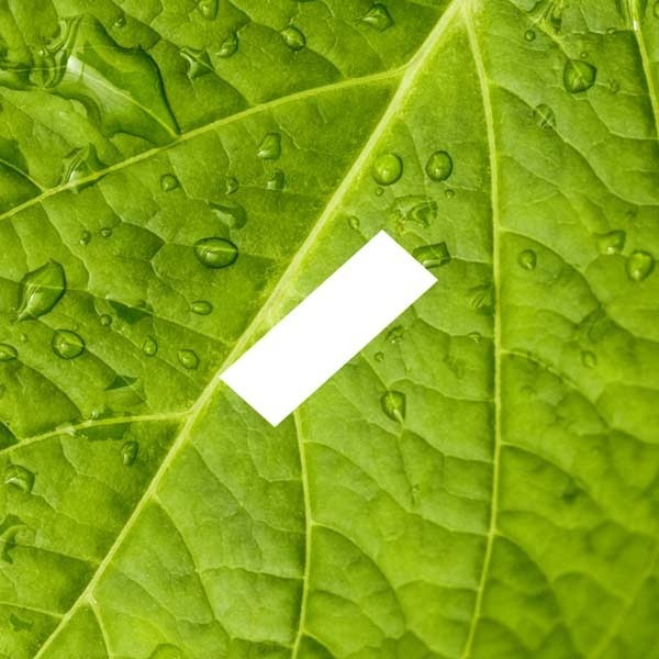 D'Lice - E-Liquide - Menthe Verte - 10 ml - docteur-vaporisateur.com