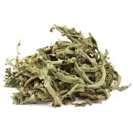 Verveine Odorante Bio - docteur-vaporisateur.com