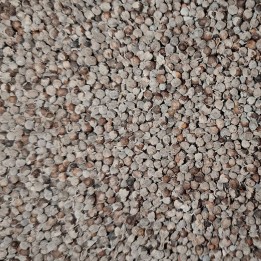 Gattilier Bio (fruit entier) - Nature et Progrès
