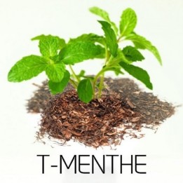 Tabac Menthe - AlfaLiquid - Docteur-Vaporisateur.com