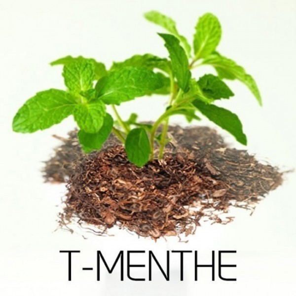 Tabac Menthe - AlfaLiquid - Docteur-Vaporisateur.com